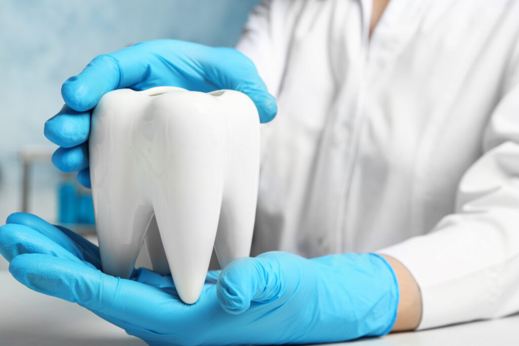 The current image has no alternative text. The file name is: dentist-holding-ceramic-model-of-tooth-at-table-c-2026-03-05-11-26-07-utc-scaled.jpg